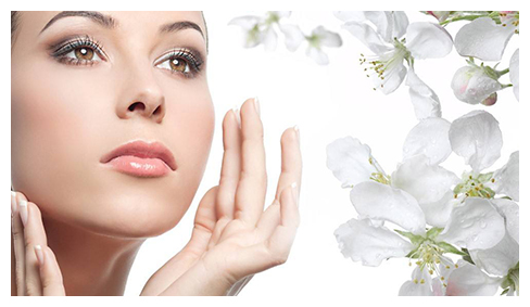 台北割双眼皮培训